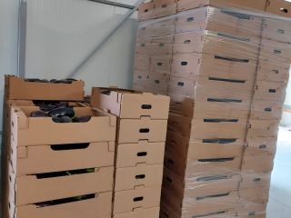 We sell large quantities of the highest quality eggplants,