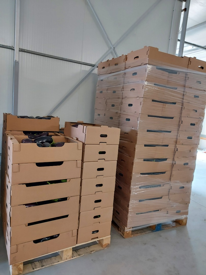 We sell large quantities of the highest quality eggplants, directly from producers