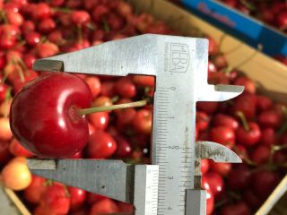 Frozen cherries for sale with pits and stems. Quantity