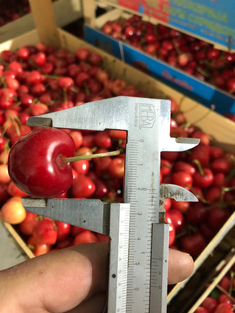 Frozen cherries for sale with pits and stems