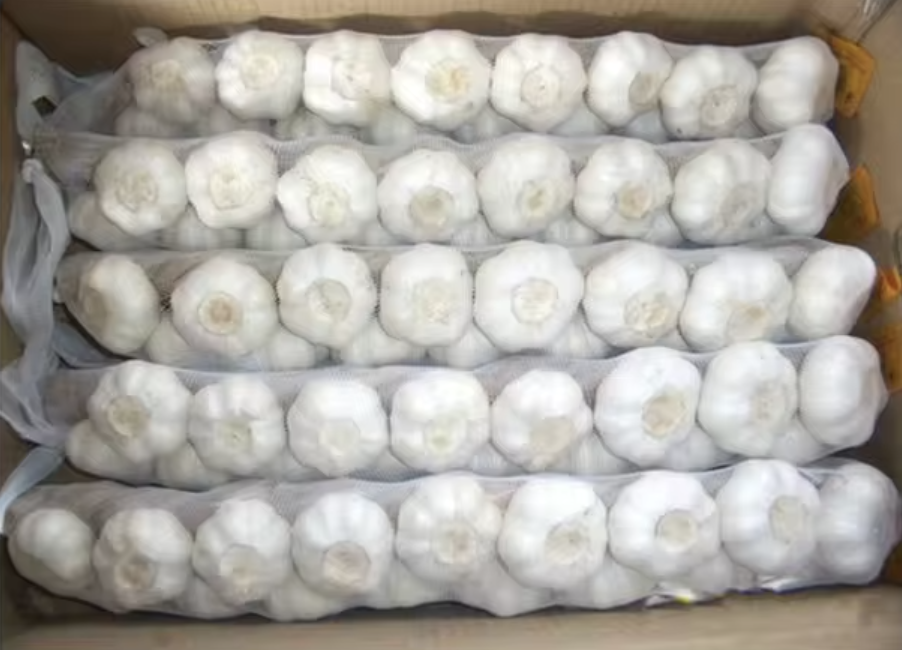 With the good quality and cheap price of our garlic, we believe that we can satisfy all the customer's demands