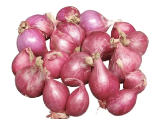 Wholesale for fresh onion / white onion - Big