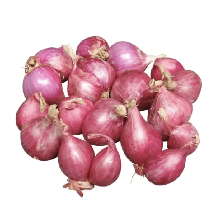 Wholesale for fresh onion / white onion - Big Sale for small onions Style: Fresh Type: Onion Product Type: Liliaceous Vegetabless Cultivation Type: Organic