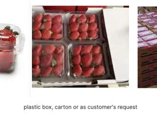Big Sale - Strawberry Global Gap direct fresh strawberry-