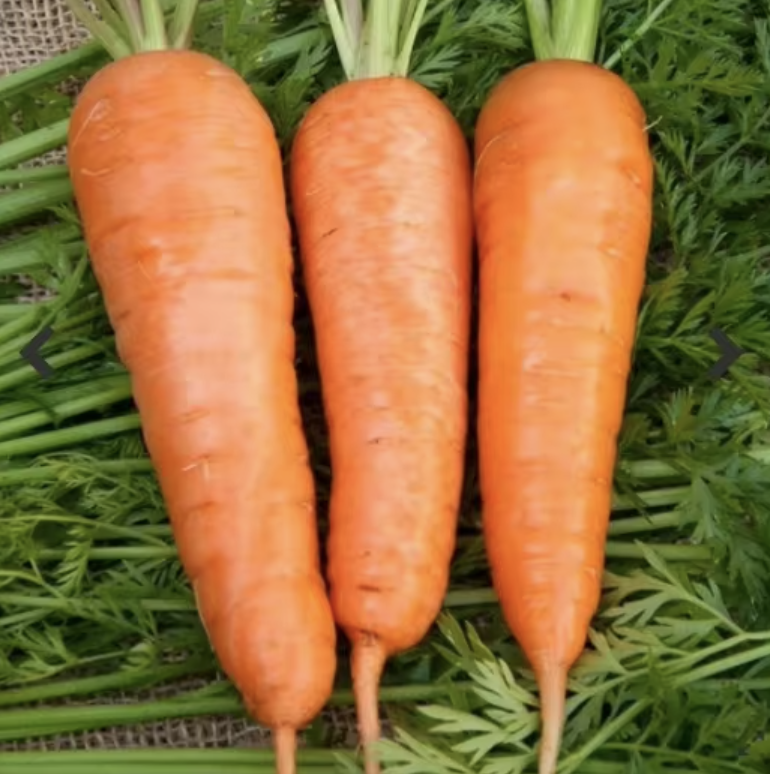We are[phone number] of the leading Exporting Company in the field of agriculture productes for 25 years We Supply all kind of Fruit And Vegetables We would