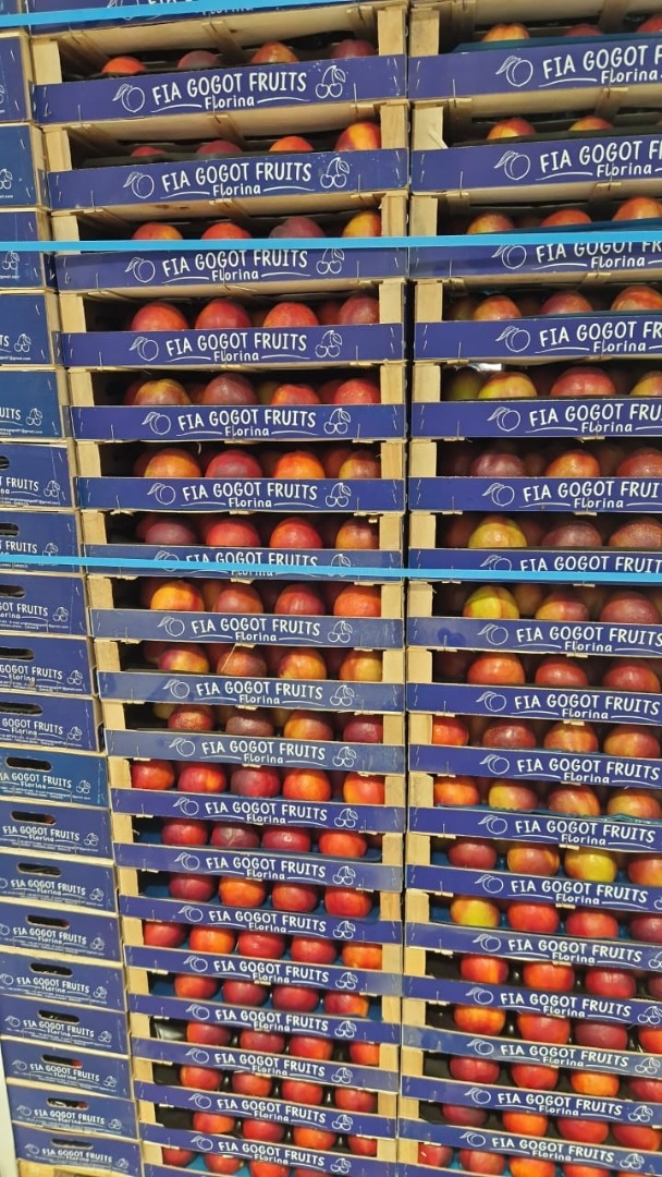 IN ACEASTA VARA FRUCTELE SUNT CALITATE SUPERIOARA ,SI FOARTE BINE SELECTATE CU ATENTIE ,BREVETATE CU CERTIFICAT FITOSANITAR ,SI PLINE DE PROSPETIME CU UN PRET