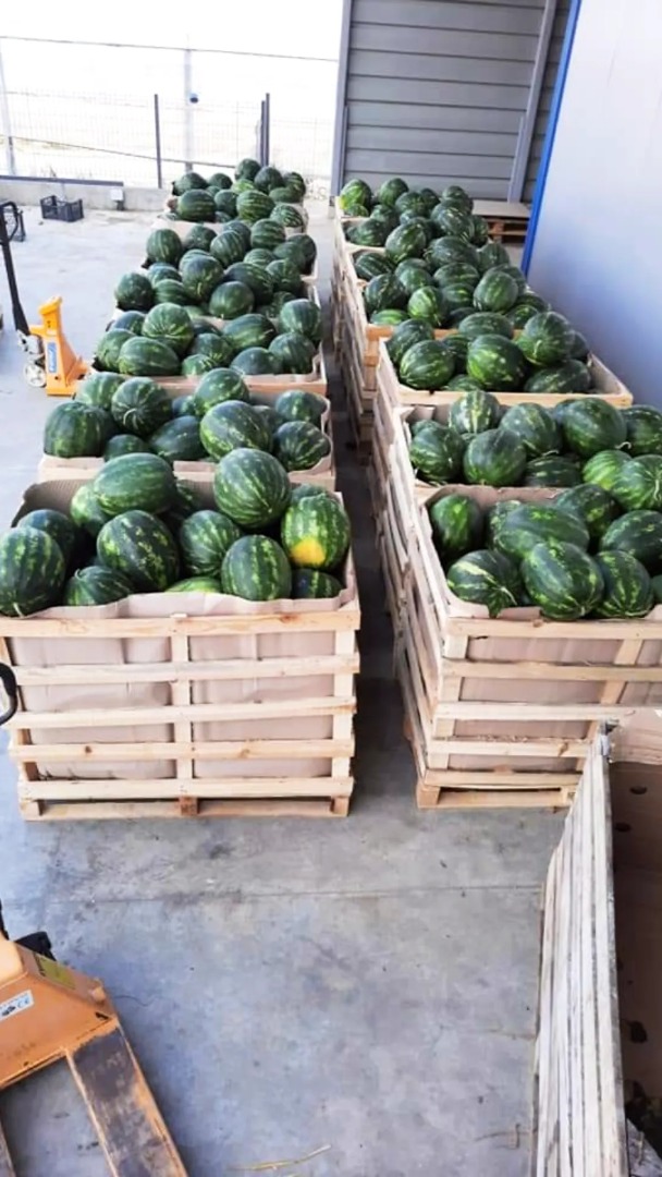 Sell watermeon from albania qualitet goods ...im interested for buyers ..thanks contact if interested .+[phone number] watsap
