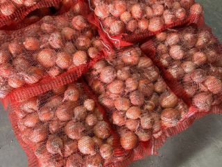 White onion, packaging: vegetable nets on pallets - 10.20.25