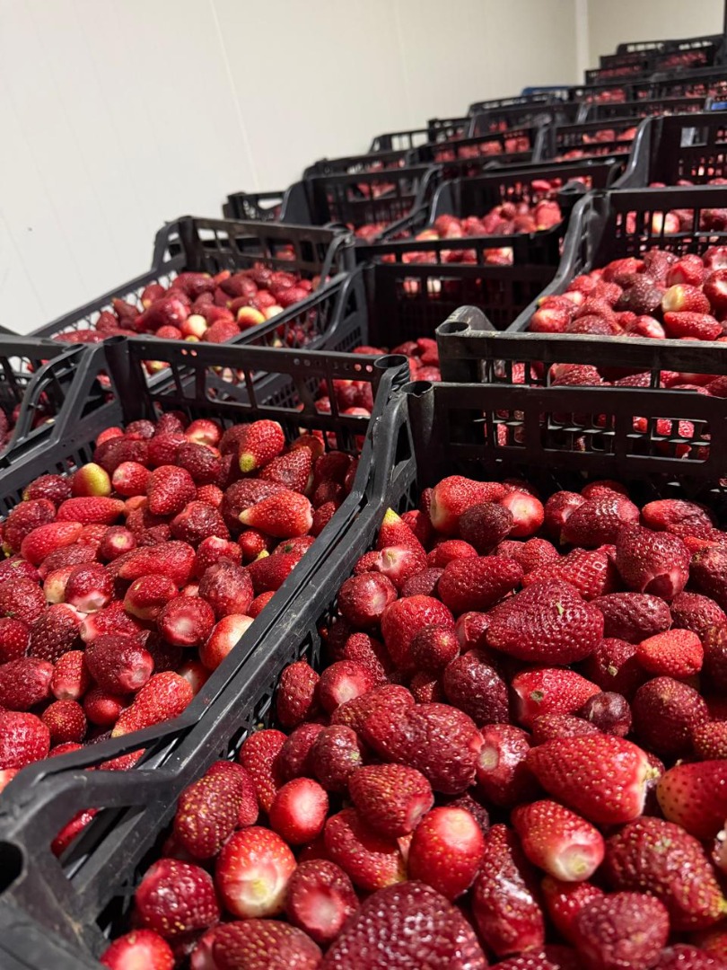 we have avilably 60 ton strawberry for sale, contakt as +[phone number]
