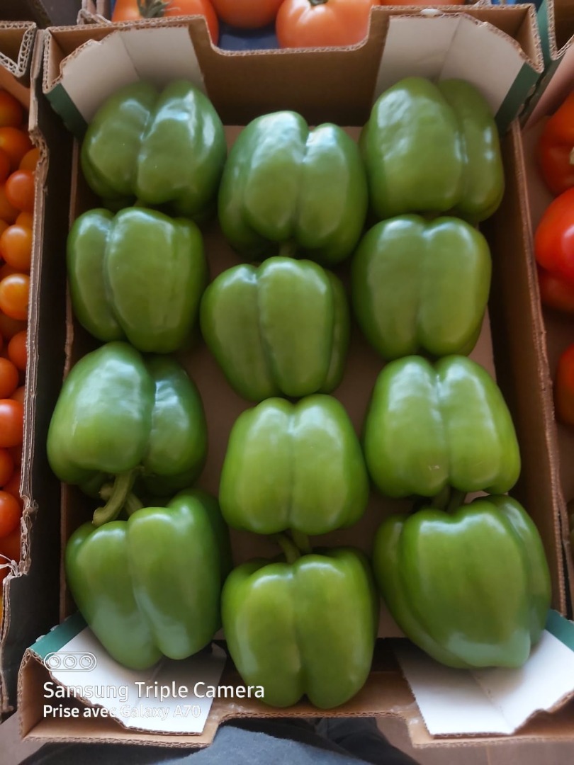 California peppers from Morocco