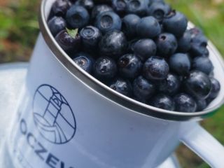 I want to open a berry shop. Price negotiable.
