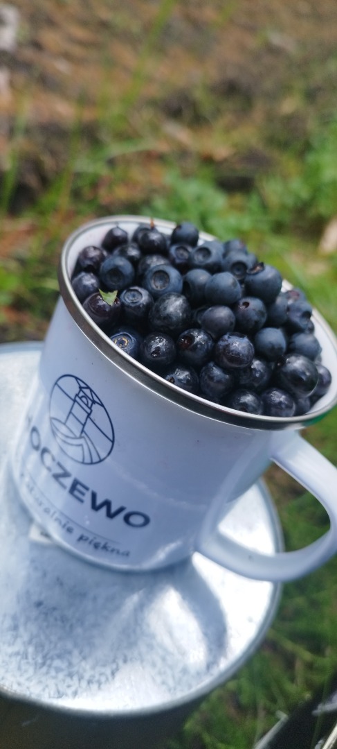 I want to open a berry shop