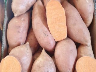 Sweet Potatoes 6Kg carton box Beauregard & Bellevue varieties