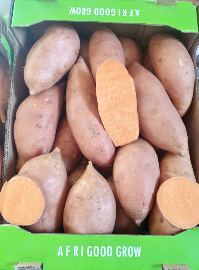 Sweet Potatoes 6Kg carton box Beauregard & Bellevue varieties Global G.A.P / GRASP / SMETA What's app: +[phone number] Email: Tel: +[phone number]
