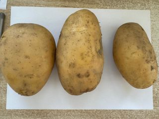 Extra class potatoes, caliber 5+, FCA delivery times, the