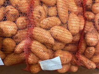 Spunta potatoes, origin Morocco. Packaging: 10/15/25kg sacks, Big Bag