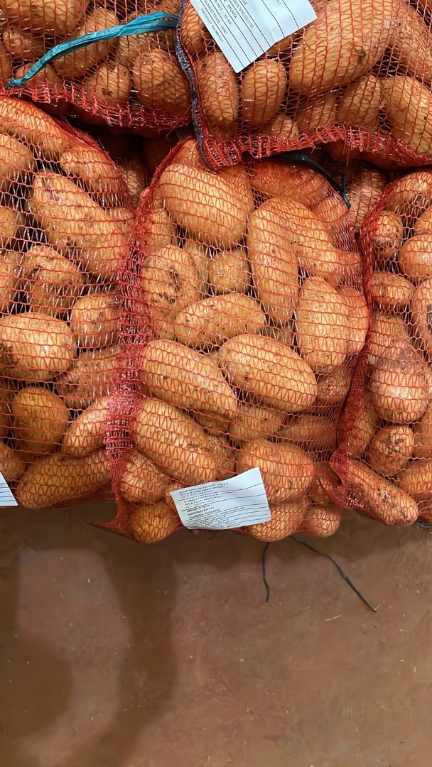 Spunta potatoes, origin Morocco