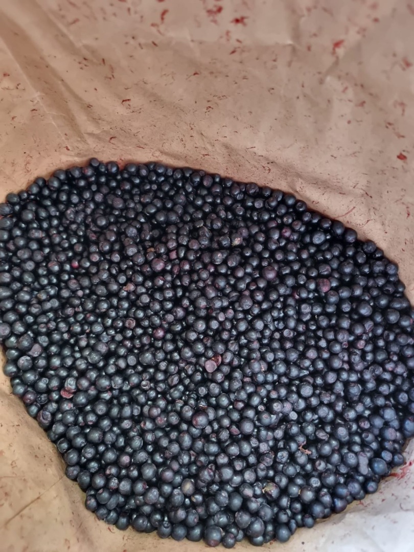 We offer Frozen Wild blueberries LT Original: Lithuania the ecologically cleanest region in Lithuania - Dzūkija National /PAN Park is[phone number] of 13 PAN