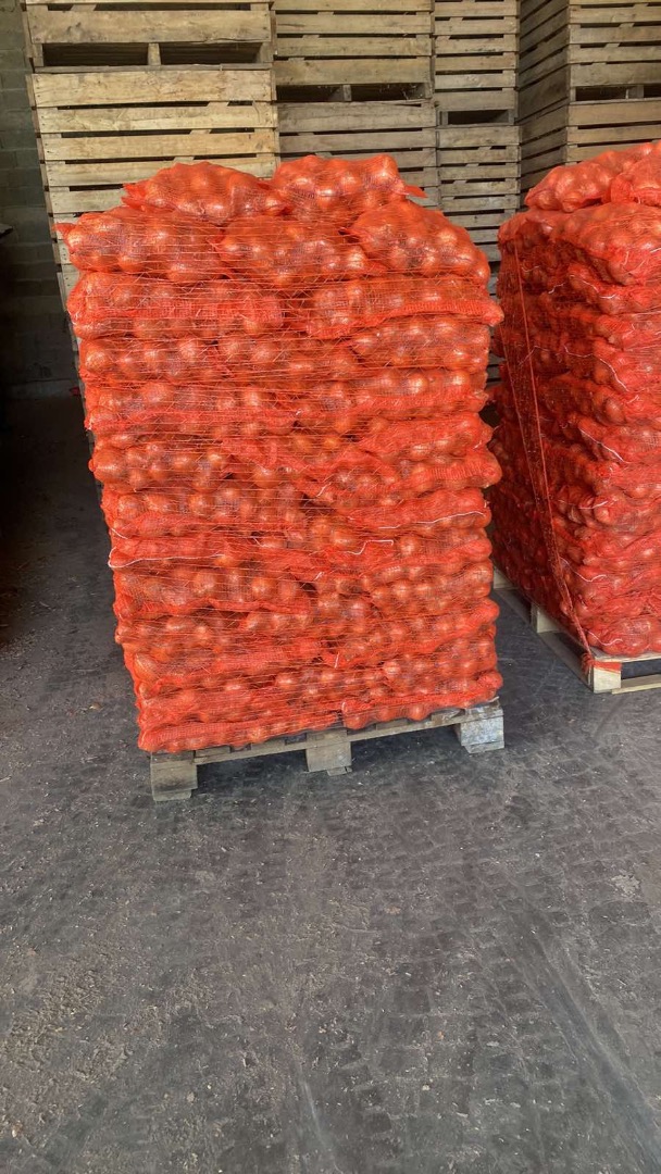 I am selling onions produced in Serbia in 2024, packed in larger than 10kg/1t on a pallet