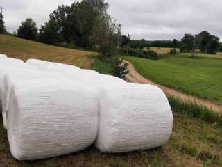 I will sell silage from the first cut of