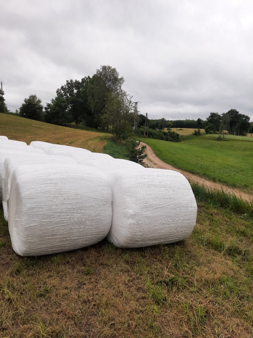 I will sell silage from the first cut of 2024 from meadows