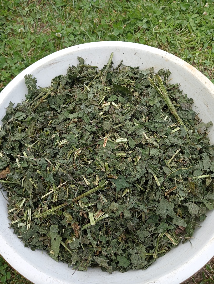 Dried Nettle Herb and leaf for sale