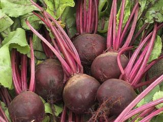 Beetroot for sale! For details, call the phone number!