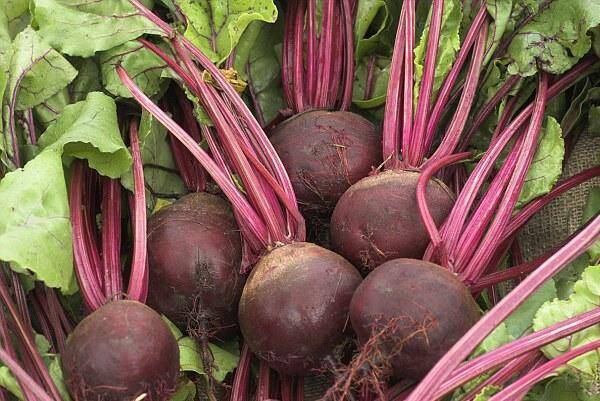 Beetroot for sale! For details, call the phone number!