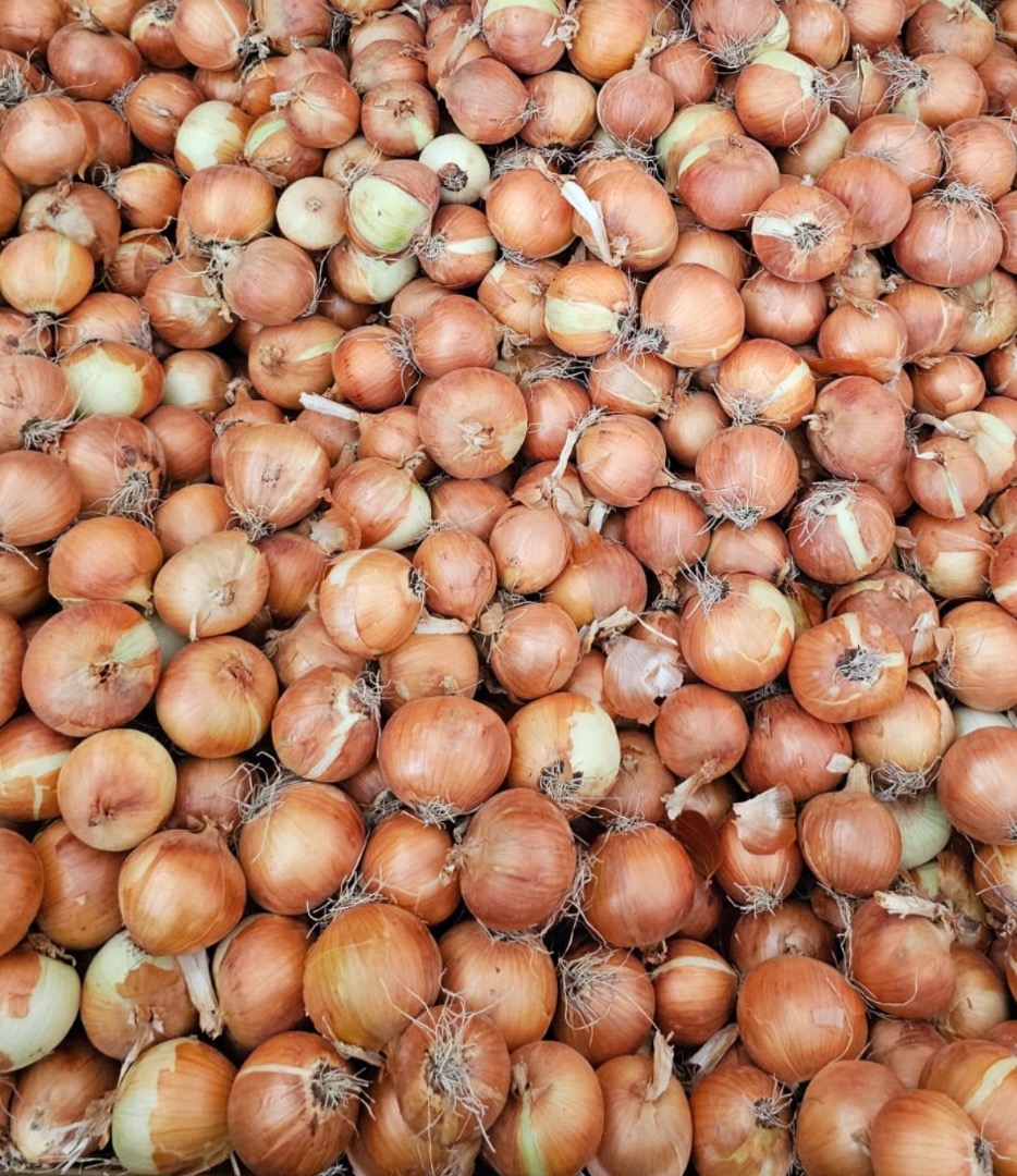 We sell fresh onions