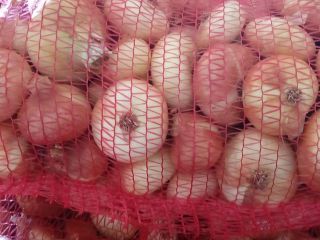 We sell onions wholesale, gassed. Large quantities available. Possibility