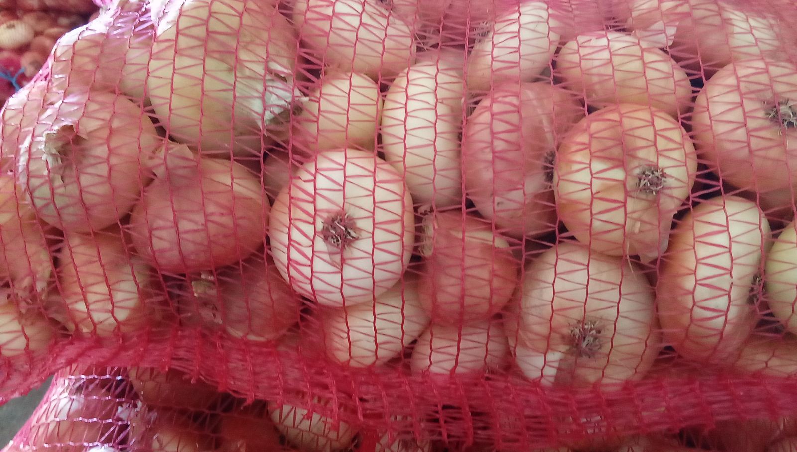 We sell onions wholesale, gassed