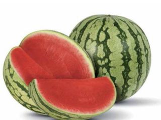 Wholesale watermelons for sale directly from the field. 100