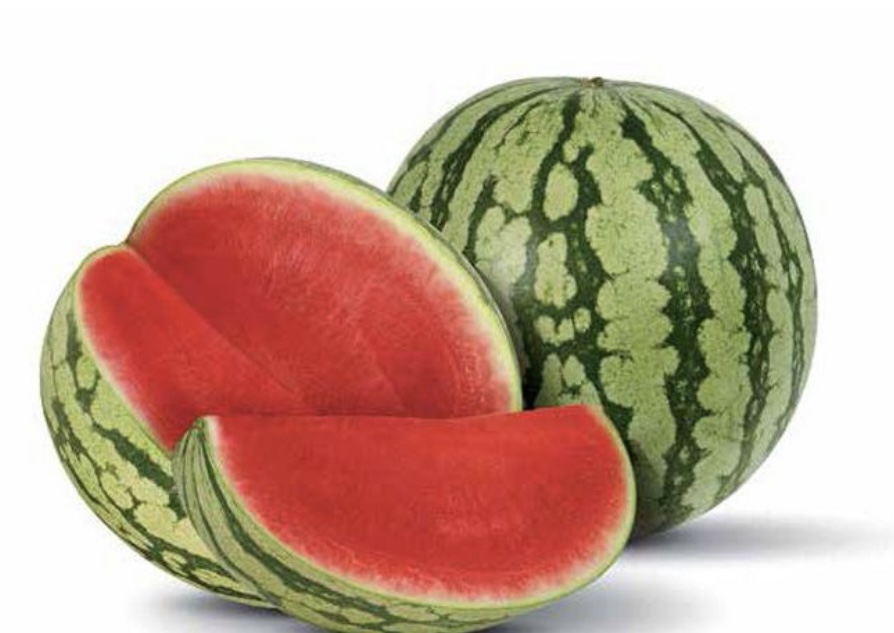 Wholesale watermelons for sale directly from the field
