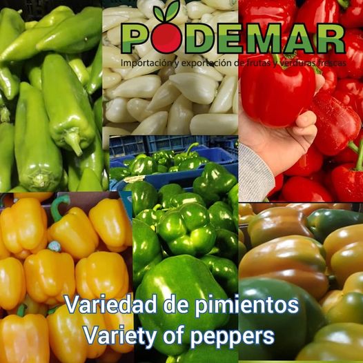 Fresh Limes Tahiti Colombia All calibers available Packaging: 4,5kg or 18kg carton box For more details contact us Whatsapp +[teléfono] Email: [correo