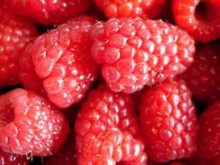I sell frozen raspberries in 25 kg bags, 80/20