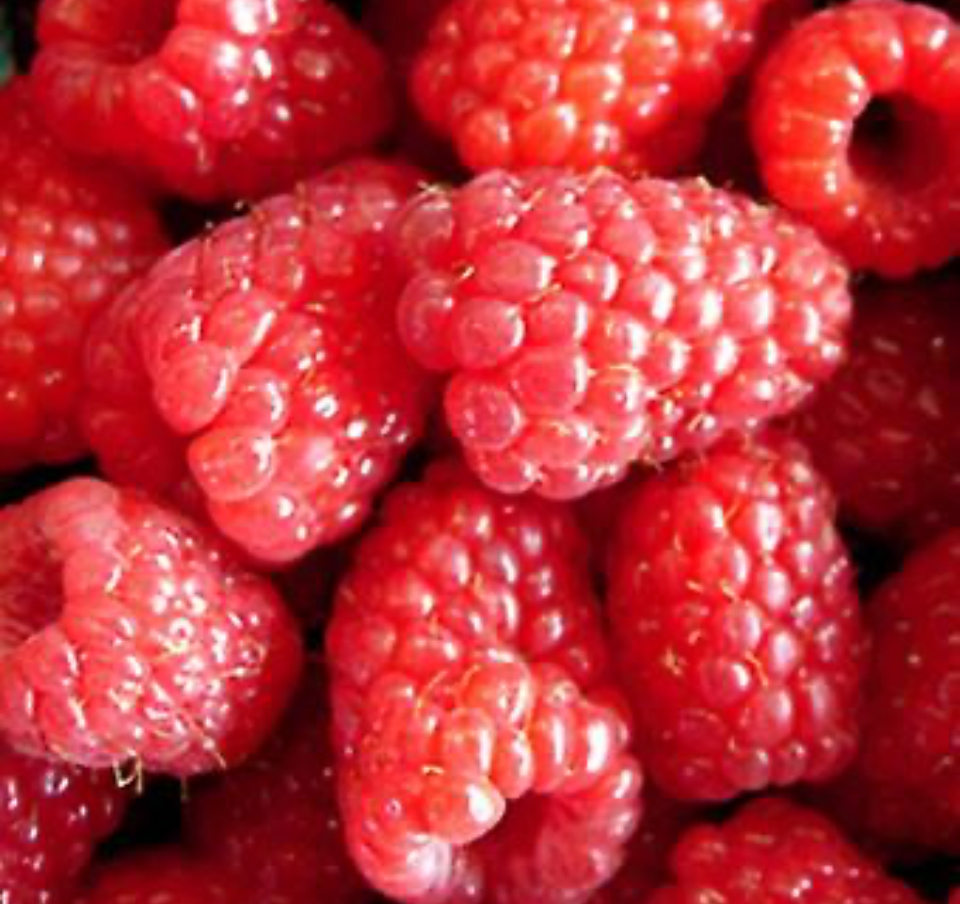 I sell frozen raspberries in 25 kg bags, 80/20