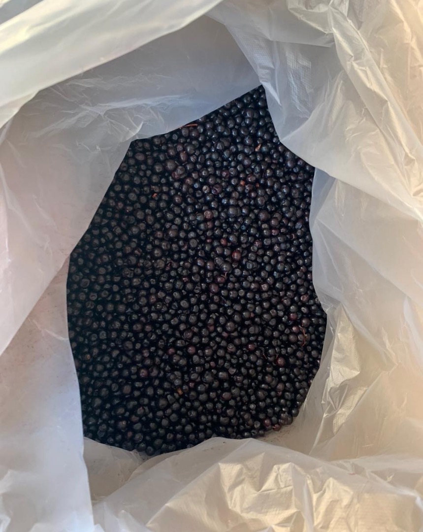 I'm selling frozen mountain blueberries! Certified quality!