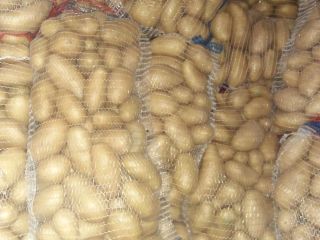 Hello! We specialize in the import and export of