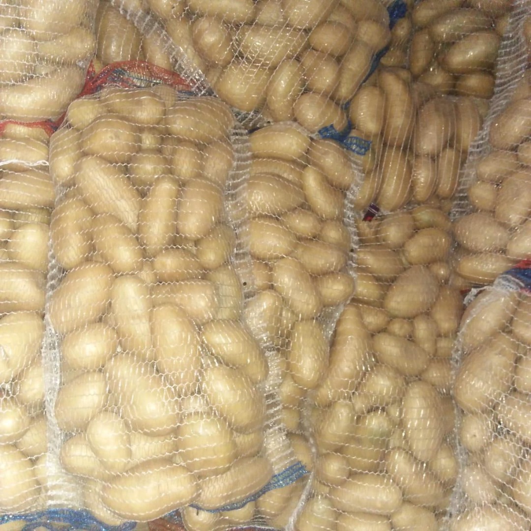 Hello! We specialize in the import and export of fruits, vegetables, and nuts