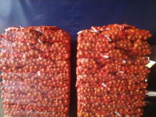 I'm selling yellow onions packed in 15kg bags. 25