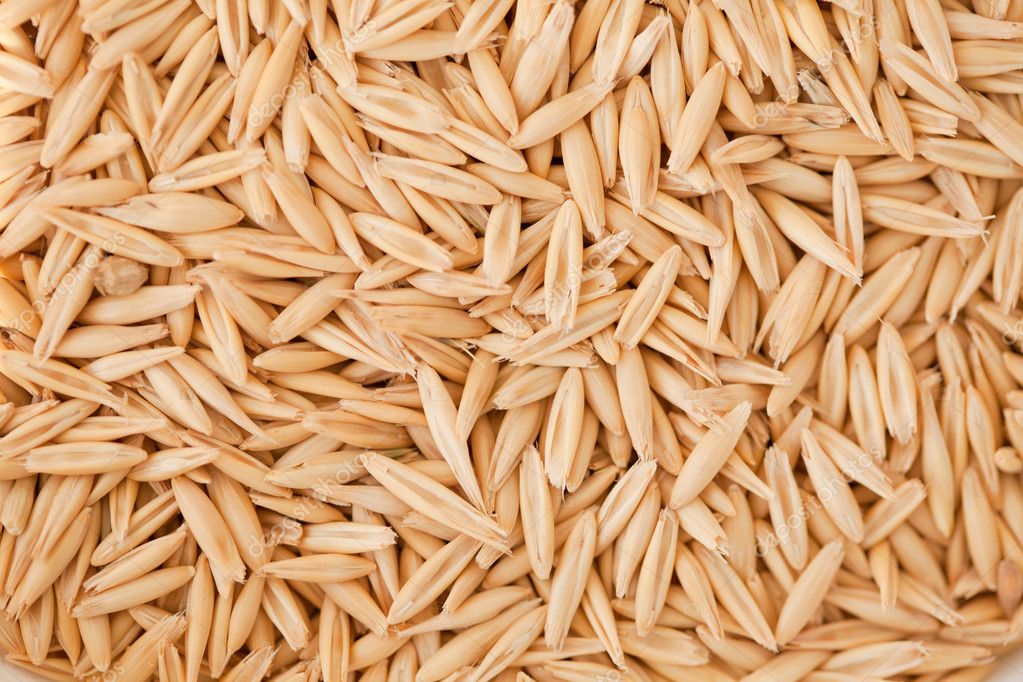 I am selling Maxi variety oats