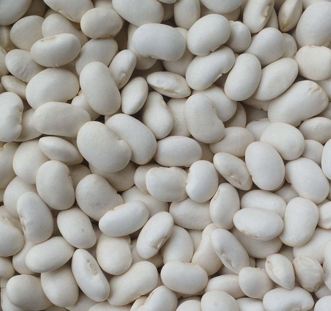 Hello, we have dwarf beans for sale, size 90-120g/100g