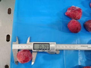 IQF Frozen Strawberry Production Date: April-May 2024 Grade: A
