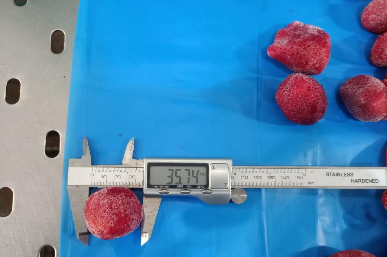 Fragole surgelate IQF Data di produzione: aprile-maggio 2024 Grado: A (con analisi dei pesticidi e microbiologica) Confezione: scatola di cartone da 10 kg di