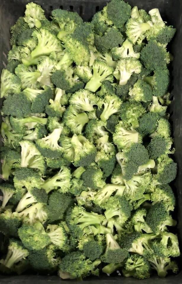 IQF Frozen Broccoli Florets: Grade: A Size: 3-6 CM (Selective) Packing: 10 KG carton bulk packed in bag Quantity Per FCL: 25 tons without pallets ( 23 tons on