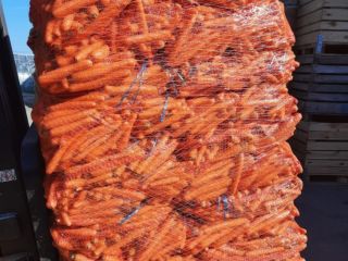 Washed carrots, caliber 2-4, 10 kg net, sale from