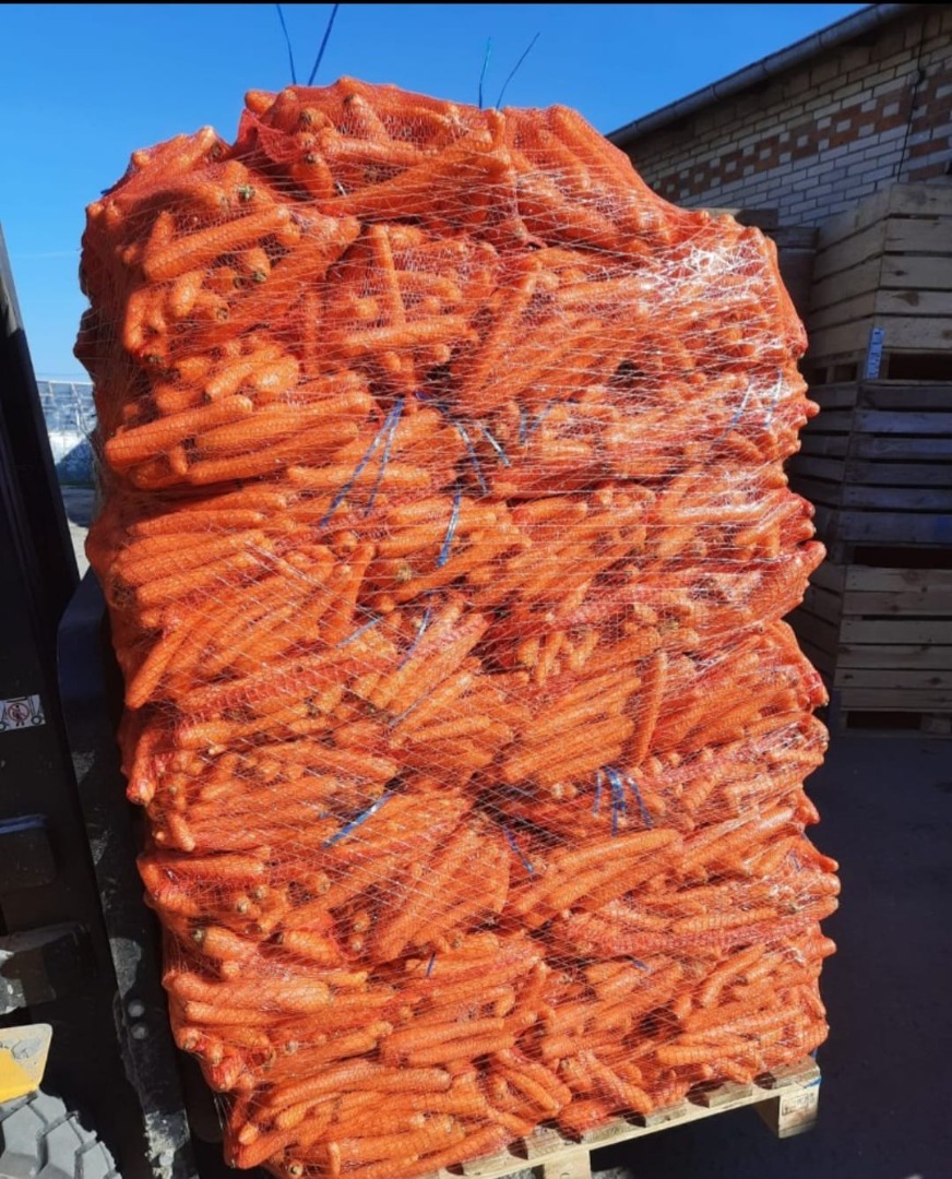 Washed carrots, caliber 2-4, 10 kg net, sale from 22 tons, delivery included