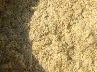 Hello, I have 50 tons of sauerkraut for sale.