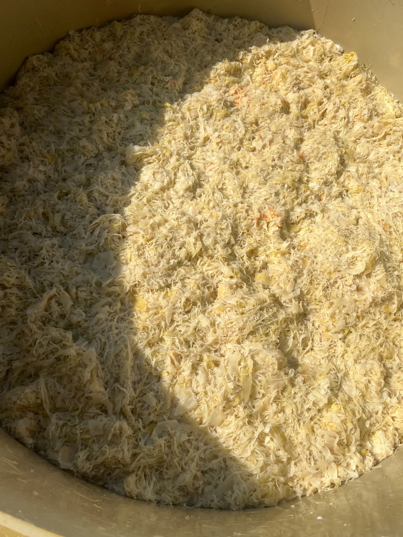 Hello, I have 50 tons of sauerkraut for sale