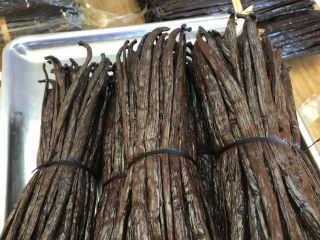 Contact [phone number] Discover our high-quality vanilla available for